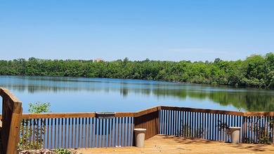 Imagine coming home to this peaceful, expansive, gorgeous view - photo 2