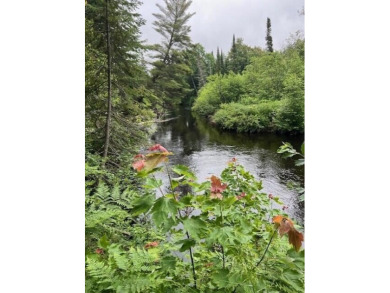 Lake Acreage For Sale in Newberry, Michigan