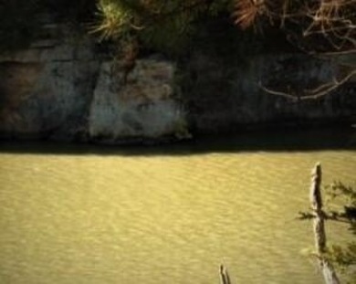 Lake Acreage For Sale in London, Arkansas