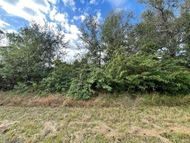Lehigh Acres Area Lot For Sale in Lehigh Acres Florida