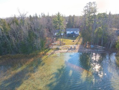 Lake Home For Sale in Deer River, Minnesota