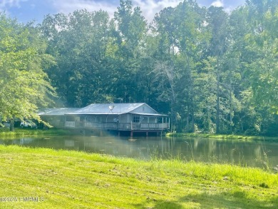 (private lake, pond, creek) Home For Sale in Little Rock Mississippi