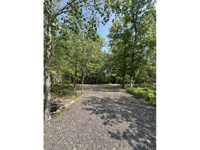 Lake Michigan - Berrien County Lot For Sale in New Buffalo Michigan