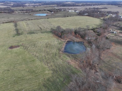 (private lake, pond, coastal) Acreage For Sale in Clifton Hill Missouri