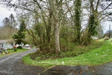 Lake Lot For Sale in Neotsu, Oregon