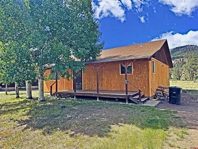 South Fork Rio Grande River Home For Sale in South Fork Colorado