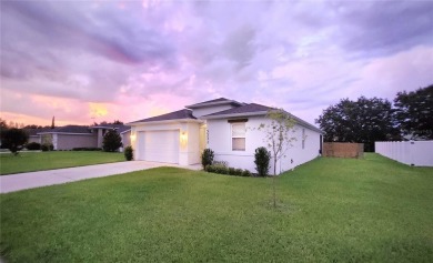 Sawgrass Lake Home For Sale in Leesburg Florida