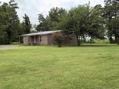 Cute home on Lakefront property! Covered back patio, and recent - photo 3