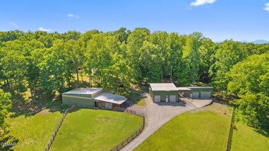 26.4 extraordinary acres with 20+ buildable acres in the heart - photo 14