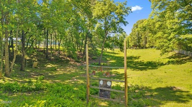 26.4 extraordinary acres with 20+ buildable acres in the heart - photo 15