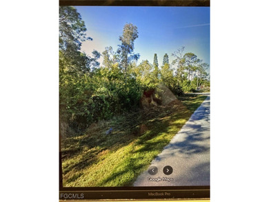Lake Acreage For Sale in North Fort Myers, Florida