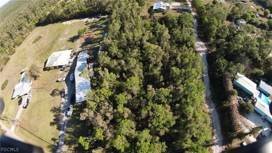 Great Own your slice of paradise with this 2.34-acre estate lot - photo 3