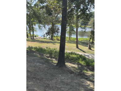 3bd, 3 ba, lakehouse garage workshop boathouse pontoon boat - photo 8