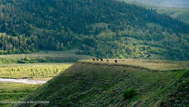 Historic 155 acre Goosewing Ranch in the Gros Ventre Wilderness - photo 7