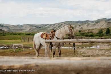 Historic 155 acre Goosewing Ranch in the Gros Ventre Wilderness - photo 9
