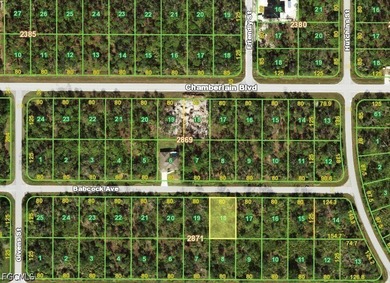 Port Charlotte Waterway Area Lot For Sale in Port Charlotte Florida