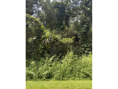 Beautiful wooded lot available in Hawaiian Parks Subdivision - photo 2