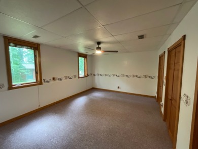 Raccoon Lake, Lake Access, Rustic Cottage - photo 21