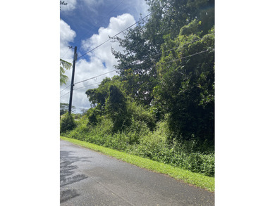 Beautiful wooded lot available in Hawaiian Parks Subdivision - photo 3
