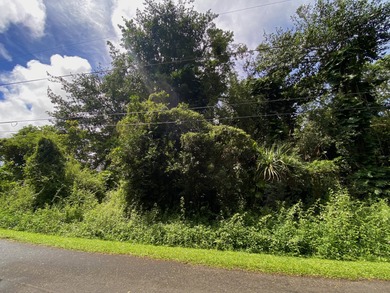 Beautiful wooded lot available in Hawaiian Parks Subdivision - photo 4