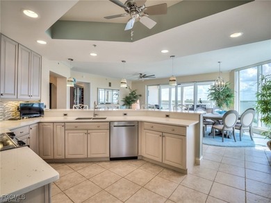 Experience elevated coastal living in this stunning 5th-floor - photo 9