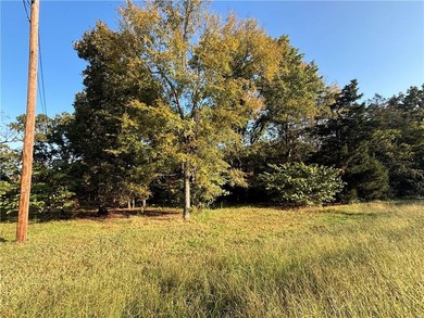 White River Lot For Sale in Cotter Arkansas