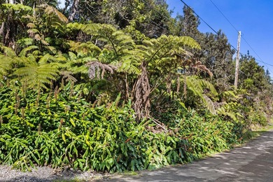 This forested lot in Volcano Village is a wonderful location to - photo 1