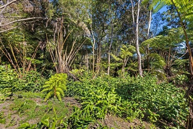 This forested lot in Volcano Village is a wonderful location to - photo 7