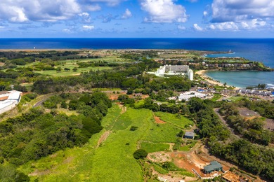Excellent Opportunity for Developers Located in the Heart of - photo 3