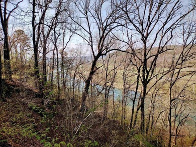 One-of-a-kind property offering 194 acres M/L with incredible - photo 39