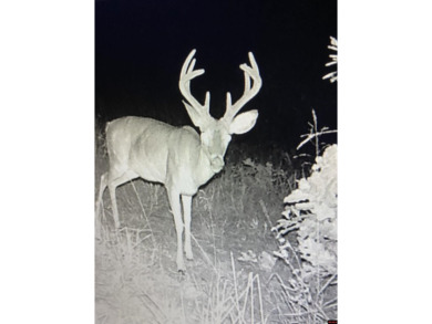 WELCOME to the panoramic views, along with the amazing sunrises