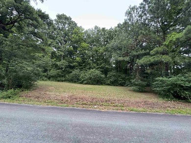 Build your dream home on these 2 lots in Hurricane Heights - photo 2