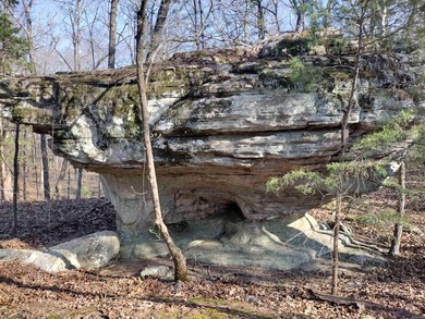 One-of-a-kind property offering 194 acres M/L with incredible - photo 43