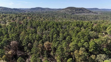 One-of-a-kind property offering 194 acres M/L with incredible - photo 46