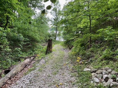 Raccoon Lake, Lake Access, Rustic Cottage - photo 28