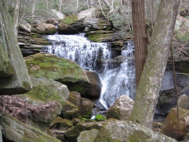 (private lake, pond, creek) Acreage For Sale in Jamestown Tennessee