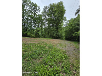 Are you looking for unrestricted property? Here you go! 2.3 - photo 12
