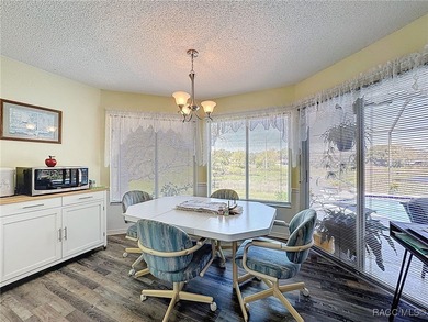 Stunning Lakefront Pool Home in Spring Hill! Welcome to this - photo 19