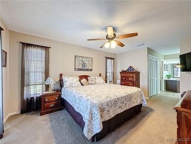 Stunning Lakefront Pool Home in Spring Hill! Welcome to this - photo 23