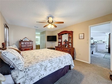 Stunning Lakefront Pool Home in Spring Hill! Welcome to this - photo 24