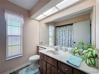Stunning Lakefront Pool Home in Spring Hill! Welcome to this - photo 32
