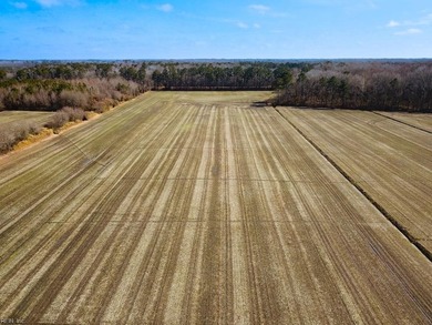 Exceptional 118 acre investment opportunity in southern - photo 2