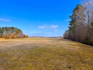 Exceptional 118 acre investment opportunity in southern - photo 4