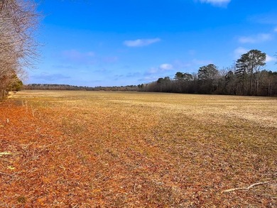 Exceptional 118 acre investment opportunity in southern - photo 6
