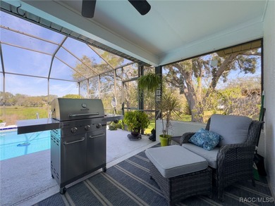 Stunning Lakefront Pool Home in Spring Hill! Welcome to this - photo 39