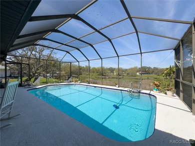 Stunning Lakefront Pool Home in Spring Hill! Welcome to this - photo 40