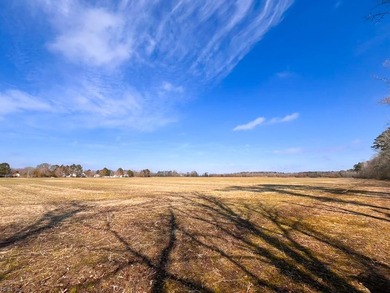 Exceptional 118 acre investment opportunity in southern - photo 10