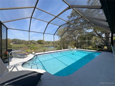 Stunning Lakefront Pool Home in Spring Hill! Welcome to this - photo 42