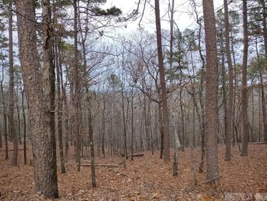 Lake Lago  Lot For Sale in Hot Springs Village Arkansas