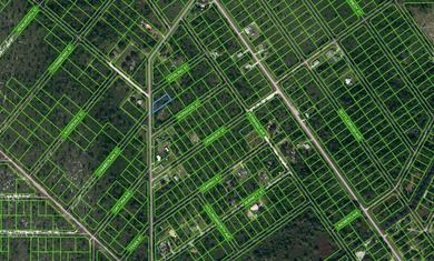 Lake Istokpoga Lot For Sale in Lake Placid Florida